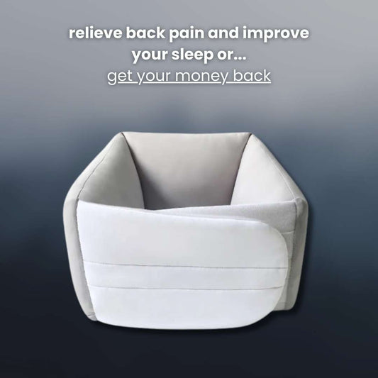 revivo - back support pillow